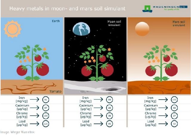 20160625_Martian salad4.jpg